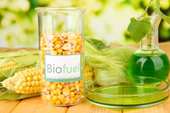 Llancayo biofuel availability